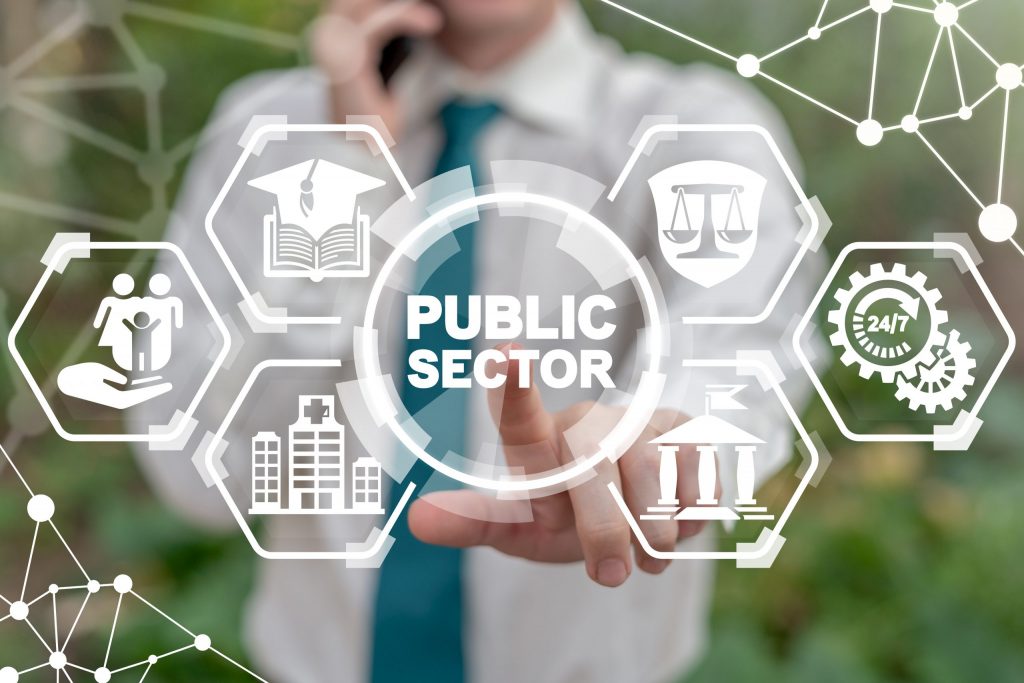 Public sector cyber security concept.